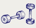 Sketch dumbbell weight