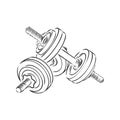 Sketch dumbbell weight, dumbbells, vector sketch illustration