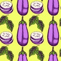 Sketch eggplant in vintage style