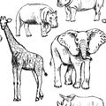 Sketch elephant, rhino, giraffe and hippo, vector seamless pattern Royalty Free Stock Photo