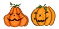 Sketch of evil pumpkins decorated in bright colors
