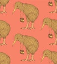 Sketch fancy kiwi bird in vintage style