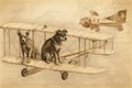 sketch of feline and canine duo flying in vintage biplane