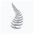 Sketch fern. Single hand-drawn fern branch, on checkered background. Vector illustration.