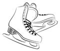 Sketch of the figured skates.