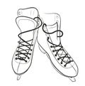 Sketch of the figured skates.