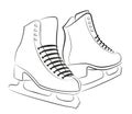 Sketch of the figured skates.