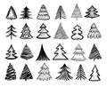 Sketch fir tree. Christmas trees scribble pen drawn holiday decoration. Vintage doodle graphic vector isolated
