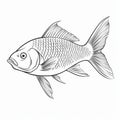 Captivating Line Drawing Of A Mesmerizing Fish On White Background