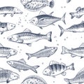 Sketch fishes seamless pattern. Etched ocean fish wrapper vector vintage background