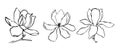 Sketch floral botany collection. Magnolia flower drawings. Modern single line art, aesthetic contour. Black and white with line a