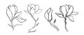 Sketch floral botany collection. Magnolia flower drawings. Modern single line art, aesthetic contour. Black and white with line a