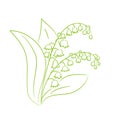 Sketch of a flower lily of the valley Royalty Free Stock Photo