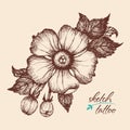 A sketch of a flower in vintage style.