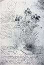 Sketch of flowers, circle. Manuscripts of Leonardo da Vinci. Code B Folio 14 recto in the vintage book Leonardo da Vinci by A.L.