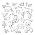 Sketch forest animals. Woodland cute baby animal raccoon elk hare woodpecker hedgehog marten fox children doodle vector Royalty Free Stock Photo