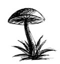 Sketch of forest mushroom with ink. Royalty Free Stock Photo