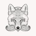 Sketch fox with a beard and moustache. Royalty Free Stock Photo