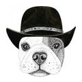 Sketch french bulldog dog head hand drawn illustration. Wild animal wearing cowboy hat Wild west
