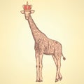 Sketch giraffe in crown, background Royalty Free Stock Photo