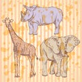 Sketch giraffe, elephant, rhino, background Royalty Free Stock Photo