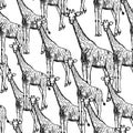 Sketch giraffe, vector vintage seamless pattern Royalty Free Stock Photo