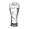 sketch of glass of beer, hand drawn vector illustration of drink with a lot of foam, beer mug, doodle graphic, black and Royalty Free Stock Photo