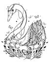 Sketch graphic illustration Beautiful Swan fairytale character with mystic and occult hand drawn symbols. Vector illustration. Vin Royalty Free Stock Photo