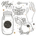 Sketch graphic illustration with mystic and occult hand drawn symbols. Set rabbit, hand, moth, mason jar. Vector illustration. Hal Royalty Free Stock Photo