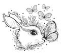 Sketch graphic illustration rabbit and butterfly with mystic and occult hand drawn symbols. Vector illustration. Royalty Free Stock Photo