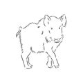 Sketch grunge wild boar in the profile.Stock vector illustration., wild boar vector sketch illustration