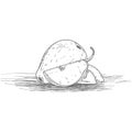 Sketch of a guava and pear cut