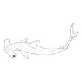Sketch Hammer-head Shark. Sphyrnidae Illustration