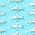 Sketch hammerhead shark in vintage style Royalty Free Stock Photo