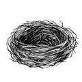 Sketch hand drawn bird`s nest.