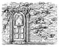 Sketch hand drawn old wooden arched door in brick grape braided wall vector