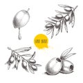 Sketch hand drawn olives set. Olive fruit with oil drop, boneless olives and olive branches with leaves. Vector illustration