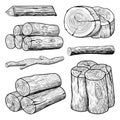 Sketch hand drawn Wood trunk collections Royalty Free Stock Photo