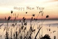 sketch of happy new year greeting card with silhouette grassy sunrise Royalty Free Stock Photo