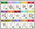 Sketch Herbal Tea Labels Collection