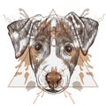 Sketch Hipster Jack Russel Terrier face in triangle frame with