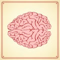 Sketch human brain in vintage style Royalty Free Stock Photo