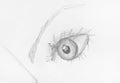 Sketch of human eye with eyebrow drawn by pencil Royalty Free Stock Photo