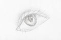 Sketch of human eye hand drawn by lead pencil Royalty Free Stock Photo