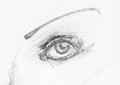 Sketch of human eye and narrow eyebrow by pencil Royalty Free Stock Photo