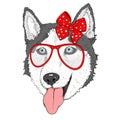 Sketch of husky dog girl in red dotted bow