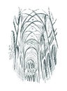 Sketch illustration church indoor line art