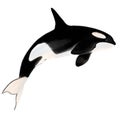 Sketch illustration killer whale Royalty Free Stock Photo