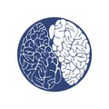 Sketch Ink Human Brain, hand drawn ,Anatomical illustration. Vector Royalty Free Stock Photo