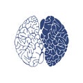 Sketch Ink Human Brain, hand drawn ,Anatomical illustration. Vector Royalty Free Stock Photo